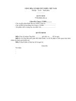 Mẫu quyết định bổ nhiệm chức vụ