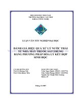 đánh giá hiệu quả xử lý nước thải từ nhà máy thuốc sát trùng bằng phương pháp hóa lý kết hợp sinh học