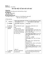 Giáo án âm nhạc lớp 5 cả năm 