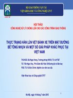 THỰC TRẠNG HẰN LÚN VỆT BÁNH XE TRÊN MẶT ĐƯỜNG  BÊ TÔNG NHỰA VÀ MỘT SỐ GIẢI PHÁP KHẮC PHỤC TẠI VIỆT NAM