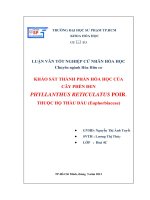 khảo sát thành phần hóa học của cây phèn đen phyllanthus reticulatus poir  thuộc họ thầu dầu (euphorbiaceae) 