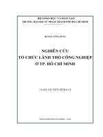 nghiên cứu tổ chức lãnh thổ công nghiệp ở tp  hồ chí minh 