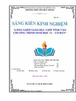 skkn LỒNG GHÉP GIÁO dục GIỚI TÍNH vào CHƯƠNG TRÌNH SINH học 11 – cơ bản 