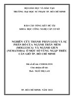 nghiên cứu thành phần loài và sự phân bố của ngành thân mềm (mollusca) và ngành giun (nematoda) ở một số vùng ngập triều cần giờ tp  hồ chí minh 