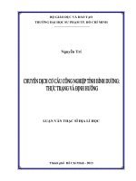 Chuyển dịch cơ cấu CN tỉnh bình dương, thực trạng và định hướng 