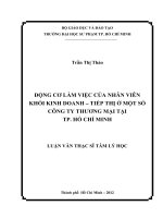 động cơ làm việc của nhân viên khối kinh doanh – tiếp thị ở một số công ty thương mại tại tp  hồ chí minh