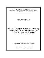 bài toán dạng cauchy cho hệ phương trình vi phân hàm tuyến tính hai chiều 