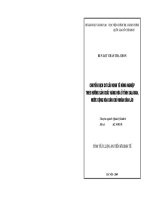 Chuyển dịch cơ cấu kinh tế nông nghiệp theo h-ớng sản xuất hàng hóa ở tỉnh Salavan, Nứớc Cộng hòa Dân chủ Nhân dân Lào