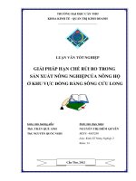 giải pháp hạn chế rủi ro trong sản xuất nông nghiệpcủa nông hộ ở khu vực đồng bằng sông cửu long