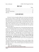 báo cáo thực tập tại công ty cổ phần chế biến kinh doanh lương thực – thực phẩm hà nội