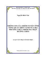 nhóm con của nhóm tuyến tính tổng quát trên vành nửa địa phương chứa nhóm ma trận đường chéo 