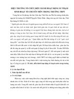 skkn HIỆU TRƯỞNG tổ CHỨC,ĐIỀU HÀNH HOẠT ĐỘNG sư PHẠM SINH HOẠT tổ CHUYÊN môn TRONG TRƯỜNG THPT