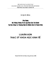 xây dựng hệ thống thông tin và lập báo cáo tài chính tại các công ty thương mai có nhiều đơn vị thành viên