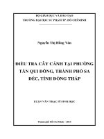 điều tra cây cảnh tại phường tân qui đông, thành phố sa đéc, tỉnh đồng tháp 