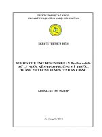Nghiên cứu ứng dụng vi khuẩn bacillus subtilis xử lý nước kênh đào phường mỹ phước, thành phố long xuyên, tỉnh an giang 