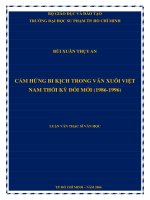 cảm hứng bi kịch trong văn xuôi việt nam thời kỳ đổi mới (1986 1996) 