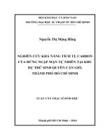 nghiên cứu khả năng tích tụ carbon của rừng ngập mặn tự nhiên tại khu dự trữ sinh quyển cần giờ, thành phố hồ chí minh 
