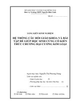 skkn hệ thống câu hỏi giáo khoa và bài tập để giúp học sinh củng cố kiến thức chương đại cương kim loại 