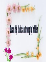 quan hệ thức ăn trong tự nhiên 