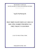 phát triển nguồn nhân lực cho các khu công nghiệp tỉnh đồng nai  thực trạng và giải pháp 