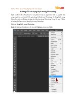 Hướng dẫn sử dụng Style trong Photoshop