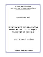 hiện trạng sử dụng lao động trong ngành công nghiệp ở thành phố hồ chí minh 