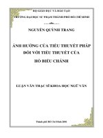 ảnh hưởng của tiểu thuyết pháp đối với tiểu thuyết của hồ biểu chánh 