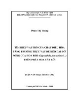 tìm hiểu vai trò của chất điều hòa tăng trưởng thực vật để kéo dài đời sống của hoa bibi (gypsophila paniculata l ) trên phát hoa cắt rời 