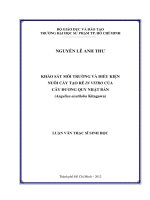 khảo sát môi trường và điều kiện nuôi cấy tạo rễ in vitro của cây đương quy nhật bản (angelica acutiloba kitagawa) 
