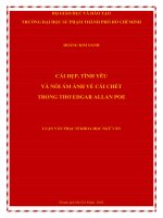 cái đẹp, tình yêu và nỗi ám ảnh về cái chết trong thơ edgar allan poe 