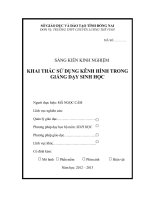 skkn KHAI THÁC sử DỤNG KÊNH HÌNH TRONG GIẢNG dạy SINH học