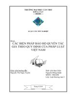 các biện pháp bảo hộ quyền tác giả theo quy định của pháp luật việt nam
