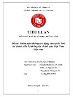 Phân tích những tác động của tự do hoá tài chính đến hệ thống tài chính của Việt Nam hiện nay