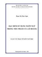 đặc điểm sử dụng ngôn ngữ trong tiểu phẩm của lê hoàng 