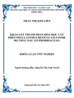 khảo sát thành phần hóa học cây phèn phyllanthus reticulatus poir  họ thầu dầu (euphorbiaceae) 