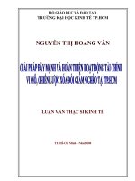 giải pháp đẩy mạnh và hoàn thiện hoạt động tài chính vi mô chiến lược xóa đói giảm nghèo tại tp hcm