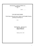 skkn vấn đề nâng cao hiệu quả công tác thanh tra thi tốt nghiệp trung học phổ thông tại tỉnh đồng nai 