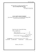 skkn QUI CHẾ làm VIỆC của cấp ủy CHI bộ ĐẢNG TRONG TRƯỜNG THPT