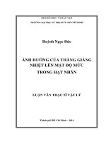 ảnh hưởng của thăng giáng nhiệt lên mật độ mức trong hạt nhân 