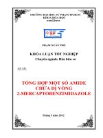tổng hợp một số amide chứa dị vòng 2 mercaptobenzimidazole 