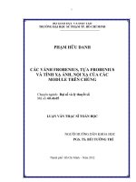 các vành frobenius, tựa frobenius và tính xạ ảnh, nội xạ của các module trên chúng 