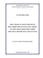 thực trạng sử dụng “bộ chuẩn phát triển trẻ em năm tuổi” trong tổ chức hoạt động phát triển thể chất cho trẻ mẫu giáo 5 6 tuổi 