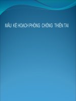 Mẫu kế hoạch Phòng Chống Thiên Tai
