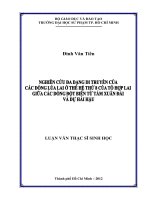 Nghiên cứu đa dạng di truyền của các dòng lúa lai ở thế hệ thứ 8 của tổ hợp lai giữa các dòng đột biến từ tám xuân đài và dự hải hậu 