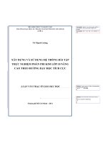 xây dựng và sử dụng hệ thống bài tập thực nghiệm phần phi kim lớp 10 nâng cao theo hướng dạy học tích cực 