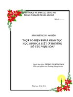 skkn một số BIỆN PHÁP GIÁO dục học SINH cá BIỆT ở TRƯỜNG bổ túc văn hóa 