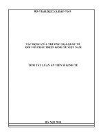 TÁC ĐỘNG CỦA THƯƠNG MẠI QUỐC TẾ  ĐỐI VỚI PHÁT TRIỂN KINH TẾ VIỆT NAM