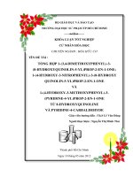 Tổng hợp 1 (3,4 dimethoxyphenyl) 3 (8 hydroxyquinoline 5 yl)prop 2  en 1 one và 1 (4 hydroxy 3 nitrophenyl) 3 (8 hydroxyquinoline 5 yl)prop 2  en 1 one 