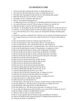 Tài liệu câu hỏi đồ án thép 2