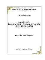 nghiên cứu tổ chức lãnh thổ công nghiệp ở thành phô  hồ chí minh